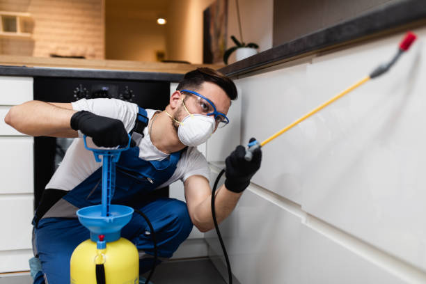 Best Pest Prevention Services  in Triana, AL