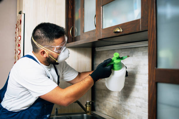 Best Commercial Pest Control Services  in Triana, AL