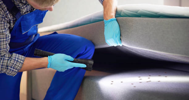 Best Termite Control Services  in Triana, AL