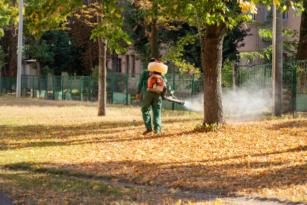 Best Cockroach Control Services  in Triana, AL