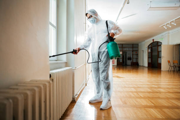 Best Wasp Removal Services  in Triana, AL