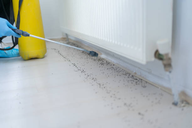 Best Residential Pest Control  in Triana, AL