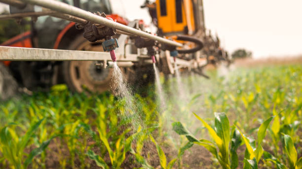 Best Wildlife Control Services  in Triana, AL