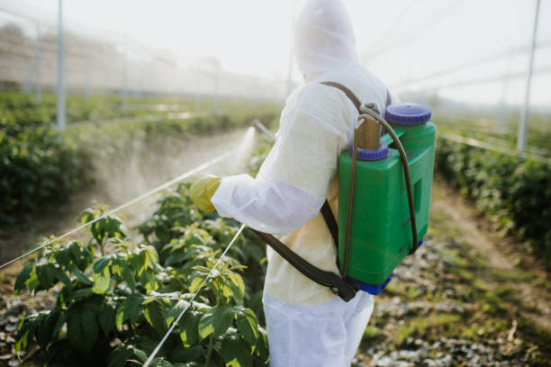 Best Best Pest Control Companies  in Triana, AL